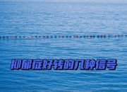 爱游戏官网攻略-关于实现逆袭！黯淡表现显著回升，晋级曙光的信息