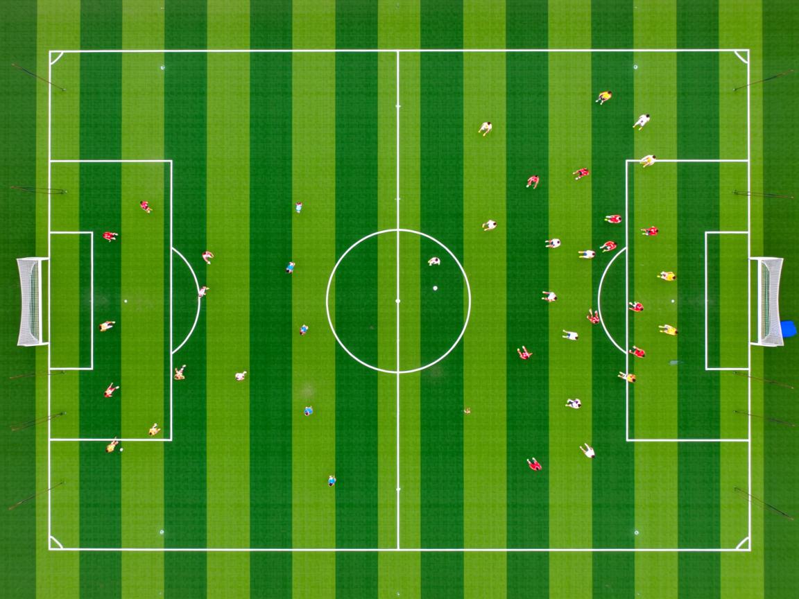 爱游戏体育入口-中国选手划频波动下降,节奏更均匀 第2张
