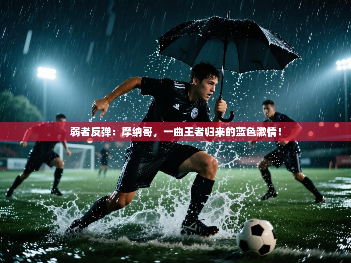 弱者反弹:摩纳哥,一曲王者归来的蓝色激情! 第2张